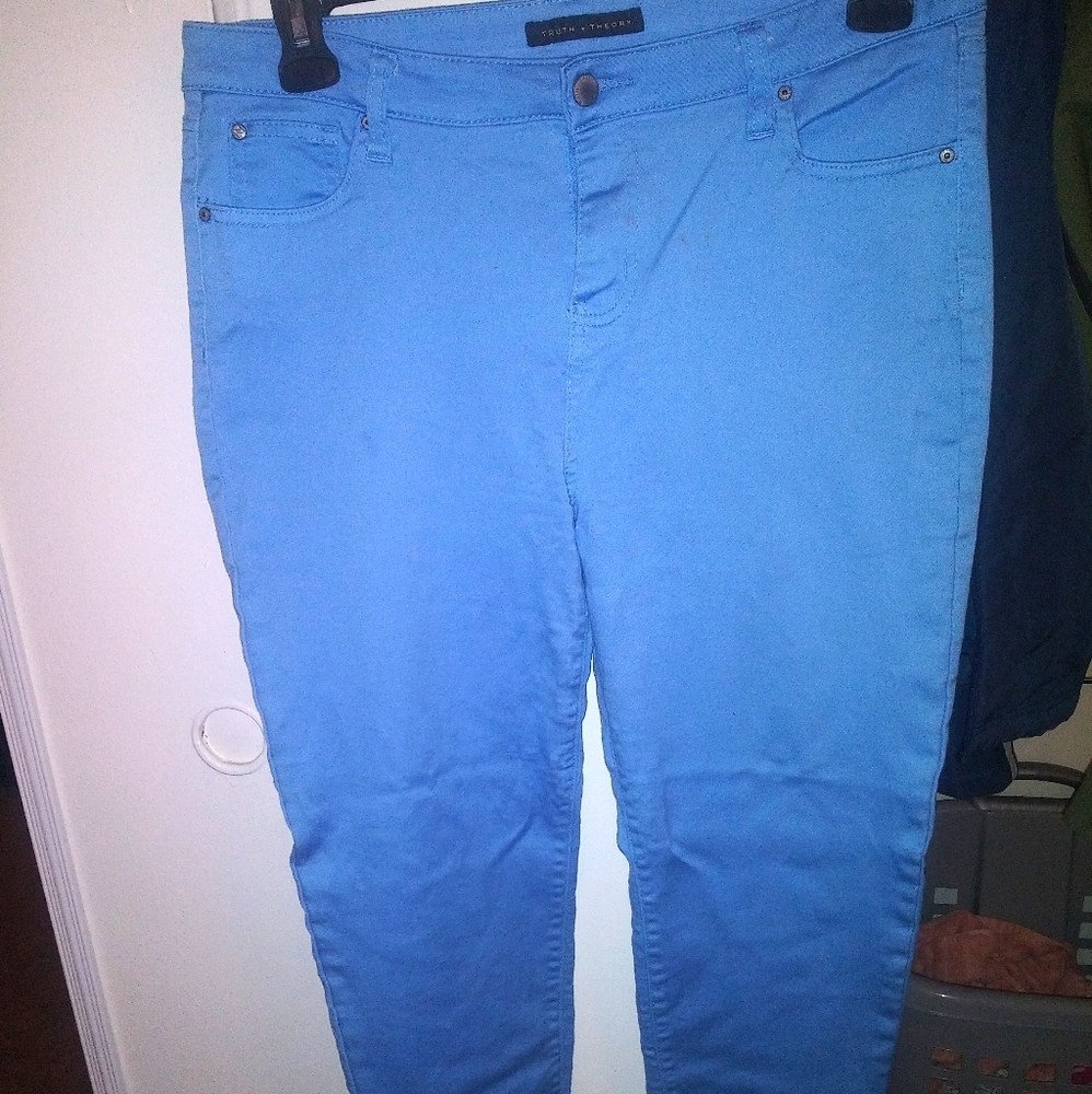 Truth and Theory pants